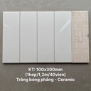 Gạch thẻ trắng bóng phẳng KT 100x300mm STA1300