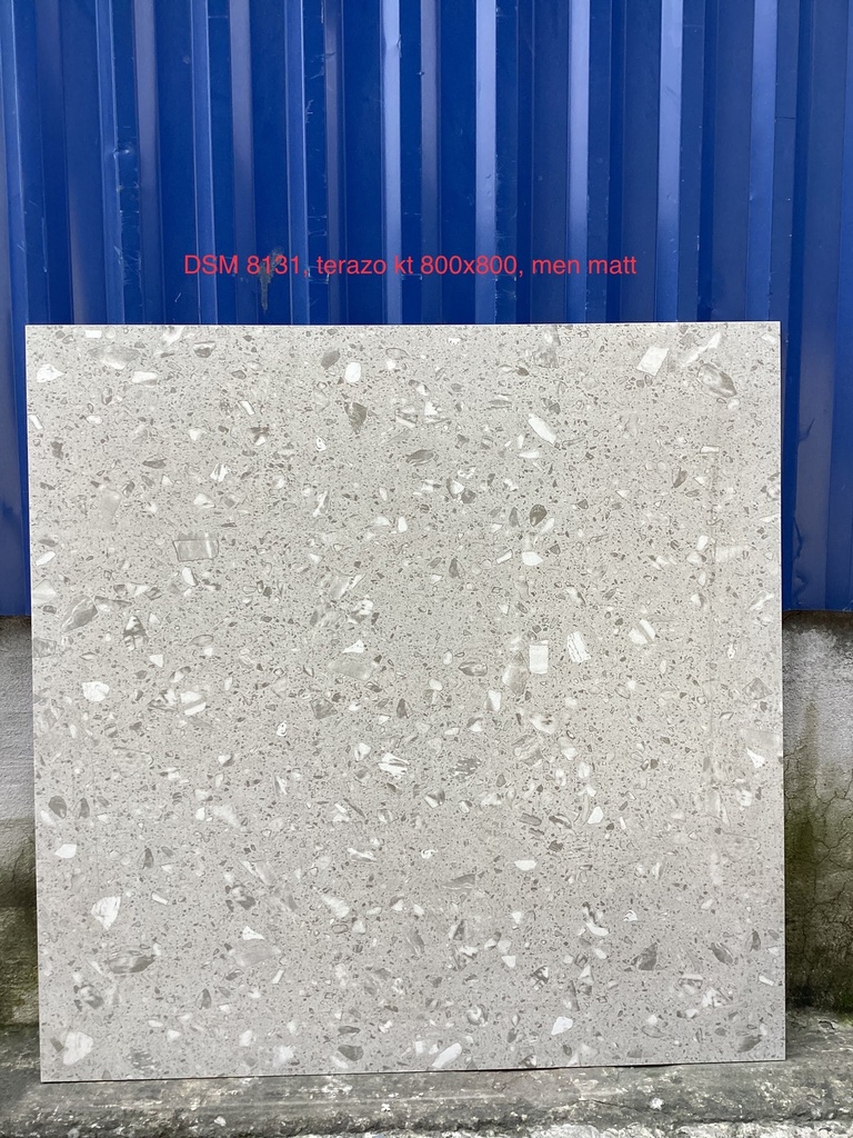 Gạch Terrazzo 800x800mm DSM8131
