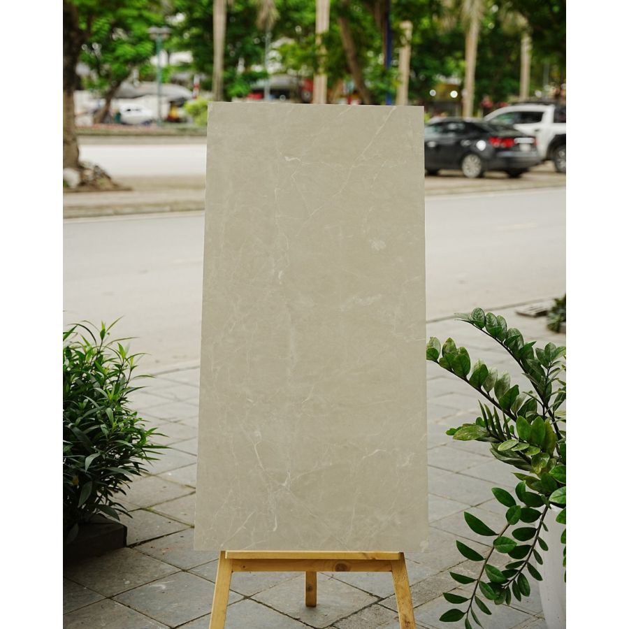 Gạch Ấn Độ KT 600x1200mm 12214R