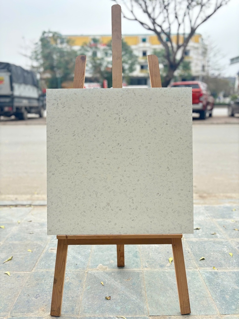Gạch Terrazzo 600x600mm men matt AMY7685