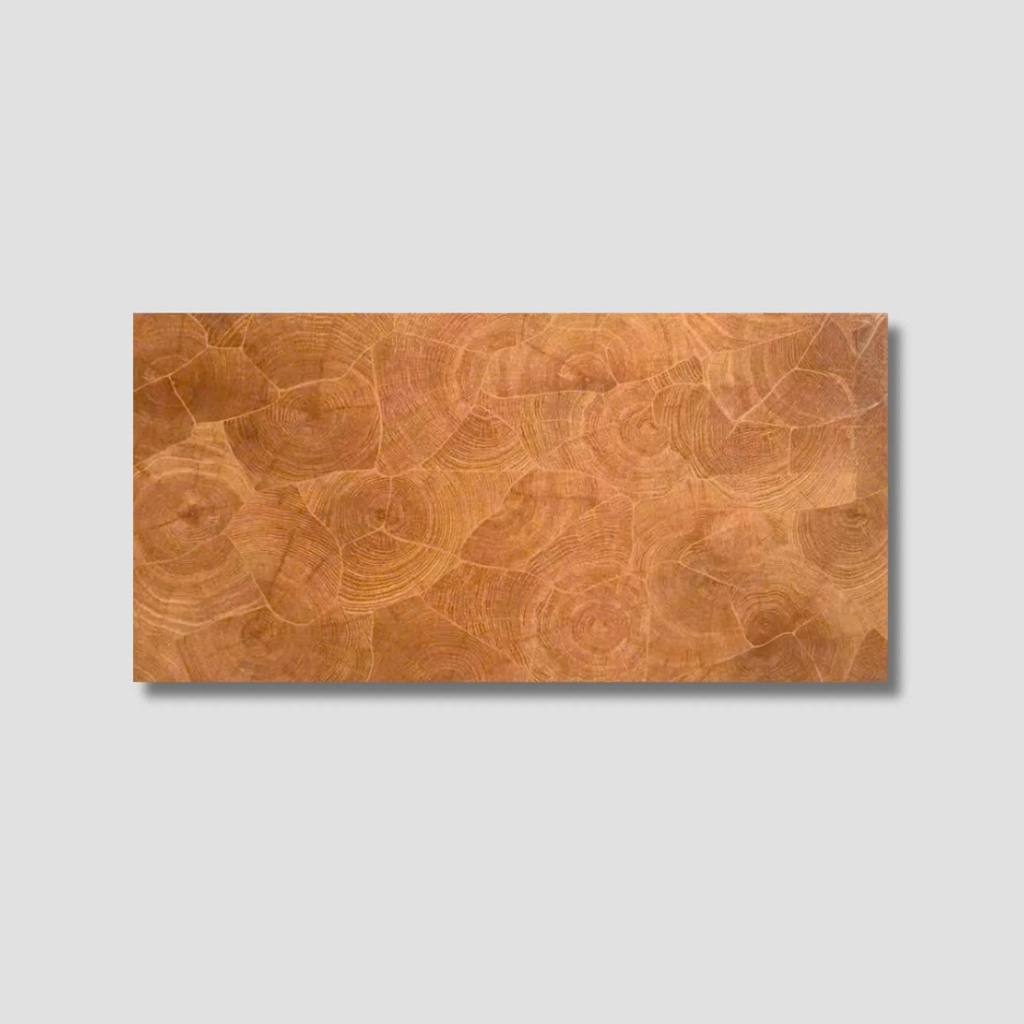 Gạch giả gỗ 600x1200mm mã FP12190