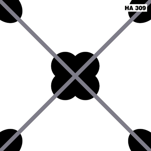 [HA309] Gạch bông hoa mai HA309 KT 30x30