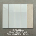 Gạch thẻ cao cấp trắng bóng phẳng KT 75x300mm PSTA75300