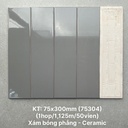 Gạch thẻ cao cấp xám bóng phẳng KT 75x300mm PSTA75304