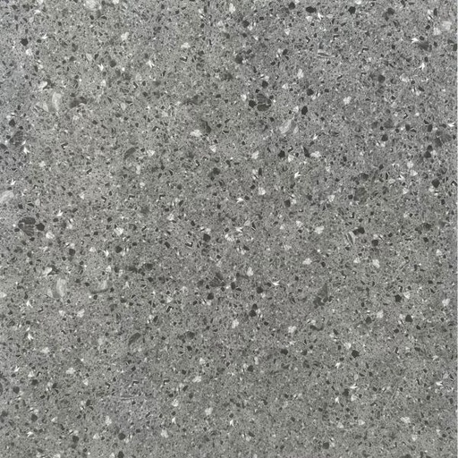 [6057] Gạch Terrazzo KT 600x600mm 6057