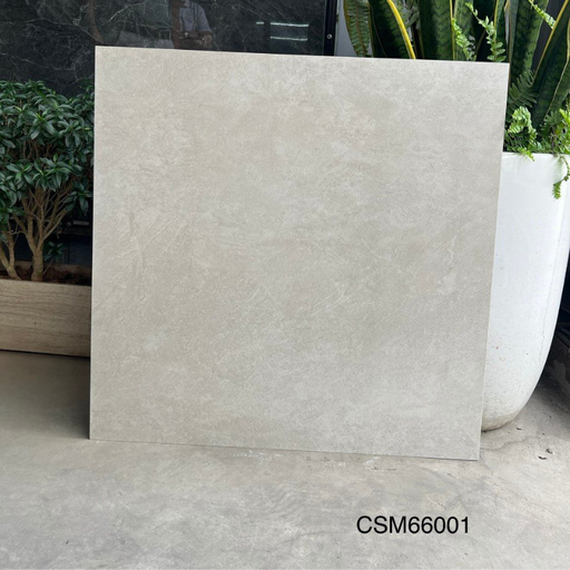 [CSM66001] Gạch lát sàn KT 600x600mm CSM66001