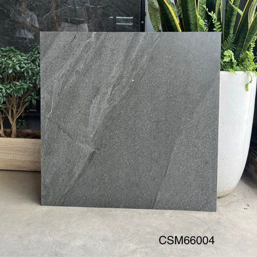 [CSM66004] Gạch lát sàn KT 600x600mm CSM66004