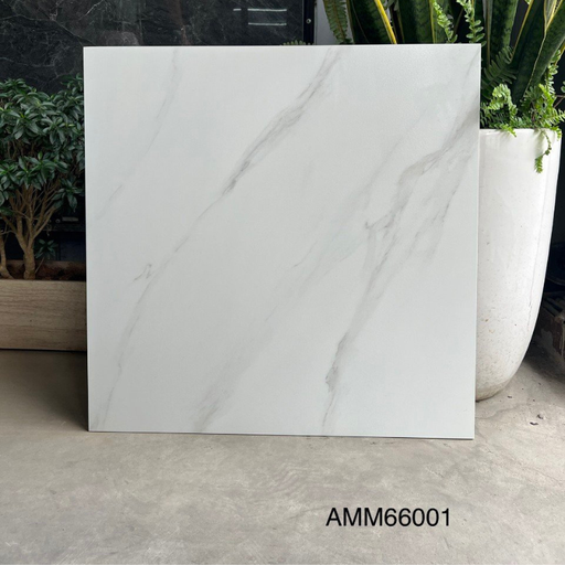 [AMM66001] Gạch lát sàn KT 600x600mm AMM66001