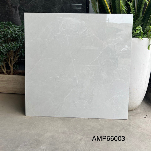 [AMP66003] Gạch lát sàn KT 600x600mm AMP66003