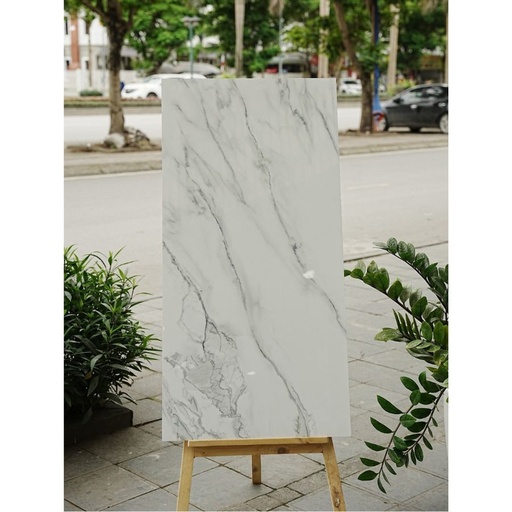 [Carrara Ice] Gạch Ấn Độ KT 600x1200mm Carrara Ice