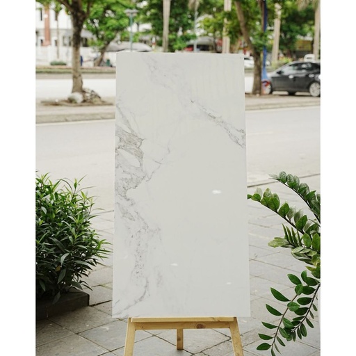 [Lotus Statuario] Gạch Ấn Độ KT 600x1200mm Lotus Statuario