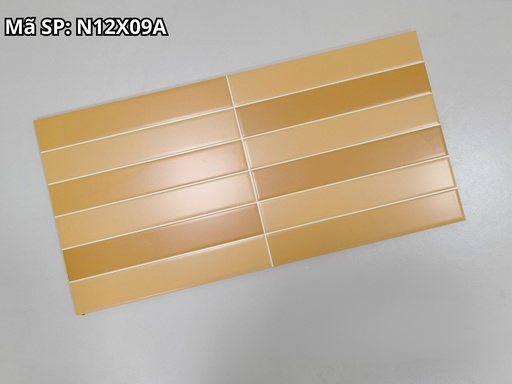 [N12X09A] Gạch ốp tường KT 30x60cm N12X09A