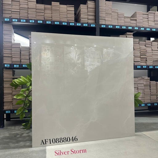 [AF.10.88.8046] Gạch Apodio 80x80 AF.10.88.8046
