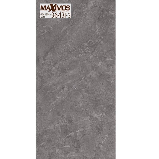 [DAISANB2B_G_10877731] Gạch ốp tường Vitto men Matt chống trơn xước 60x120cm 3643F3