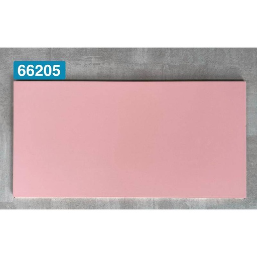 [DAISANB2B_G_49780381] Gạch ốp tường 300x600mm 66205