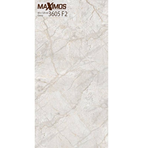 [DAISANB2B_G_19144879] Gạch ốp tường Vitto men Gossy chống trơn xước 60x120cm 3605F2