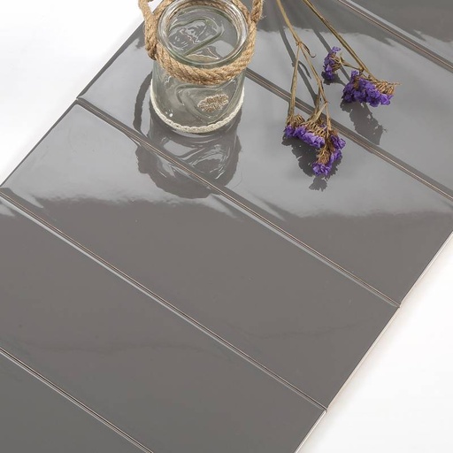 [M1303] Gạch thẻ xám đậm bóng phẳng 100x300 M1303