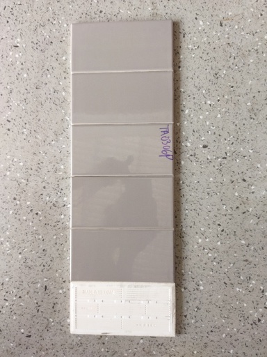 [HCM_TA0306P] Gạch thẻ xương bóng phẳng KT 75x150mm TA0306P