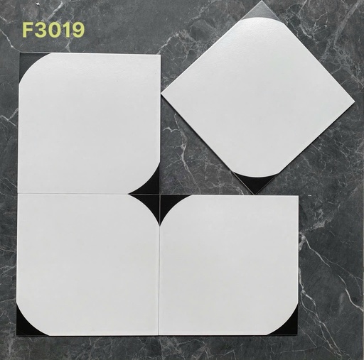 [DSH-F3019] Gạch bông 300x300mm F3019