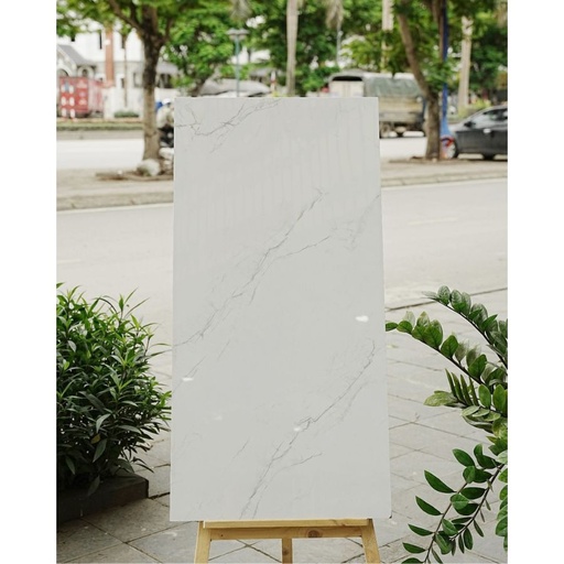 [DSH-35248] Gạch Ấn Độ KT 600x1200mm Valencia White