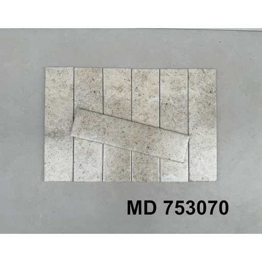 [MD753070] Gạch Thẻ 753070