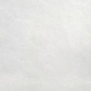 [p67662n] Gạch lát nền taicera 60×60 p67662n