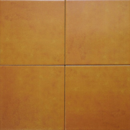 [INNO-IN2015] Gạch Bông IN2015