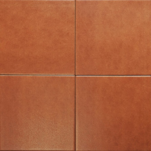 [INNO-IN2014] Gạch Bông IN2014