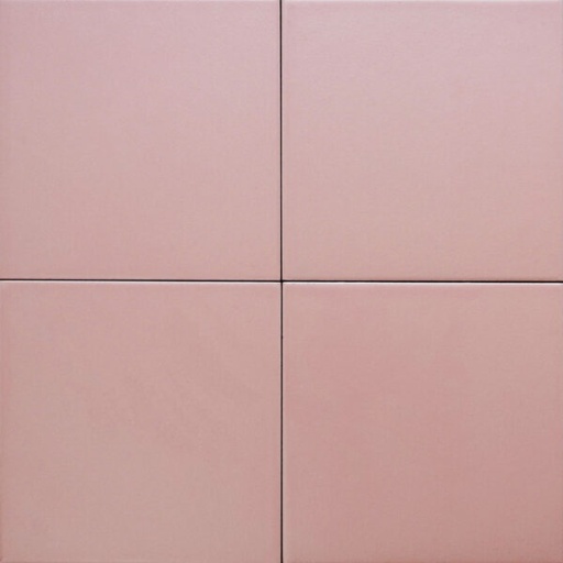 [INNO-F2211] Gạch Bông F2211